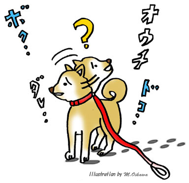 認知症とはどんな病気?