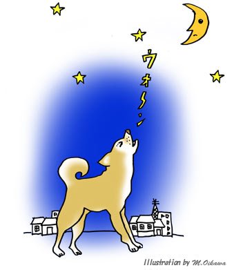 犬の認知症の主な症状7つ