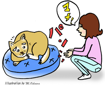 認知症と診断されたら