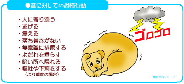 音に対しての恐怖行動