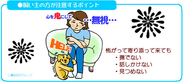 飼い主の方が注意するポイント