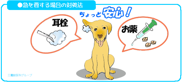 急を要する場合の対処法