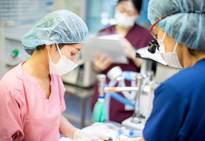 勤務VT経験者募集のお知らせ