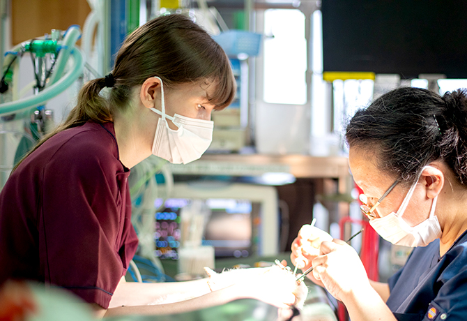 夜間勤務VT募集のお知らせ