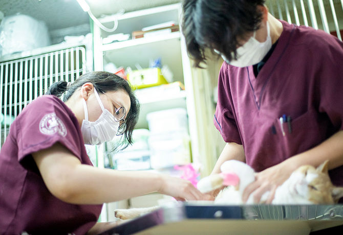VT見習い(未経験者)募集のお知らせ