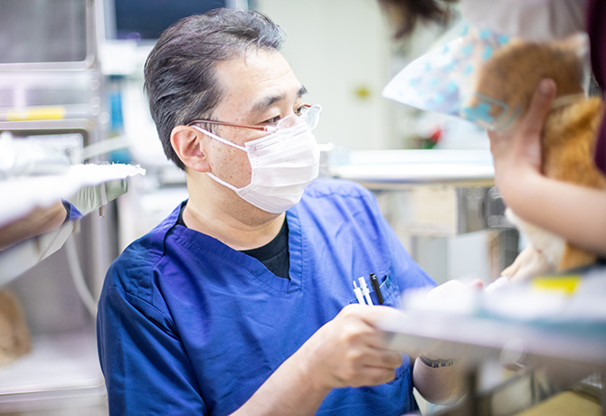 英語に自信のある獣医師の募集