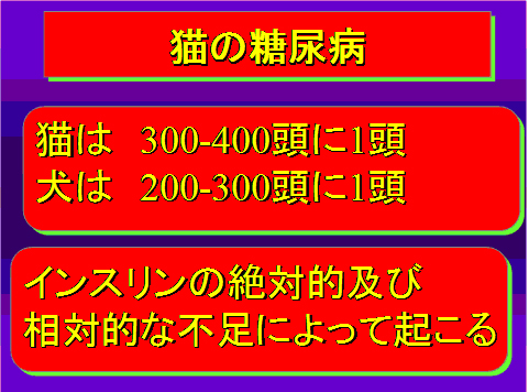 猫の糖尿病01