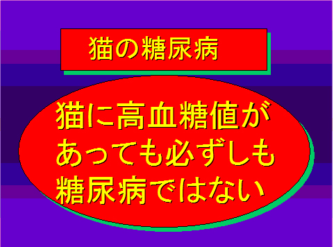 猫の糖尿病07