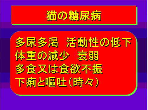 猫の糖尿病09