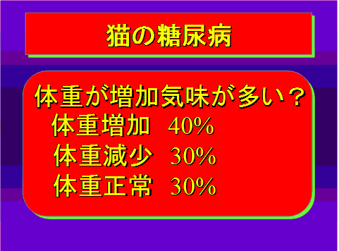 猫の糖尿病13