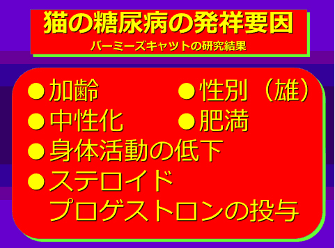 猫の糖尿病の発祥要因