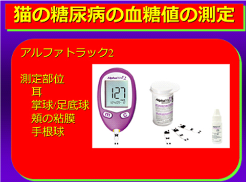 猫の糖尿病の血糖値の測定
