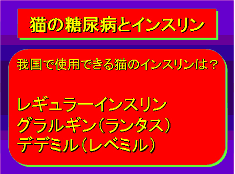 猫の糖尿病とインスリン01