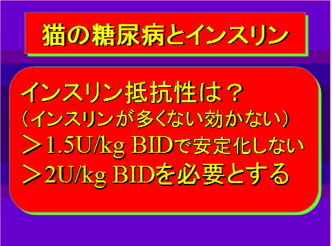 猫の糖尿病とインスリン04