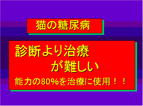 猫の糖尿病23