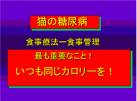 猫の糖尿病25