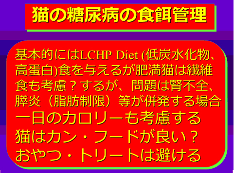猫の糖尿病の食餌管理01