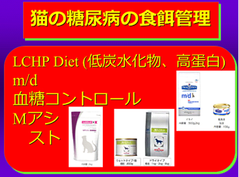 猫の糖尿病の食餌管理03