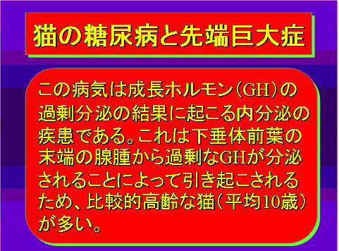 猫の糖尿病と先端巨大症01