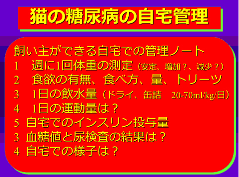 猫の糖尿病の自宅管理