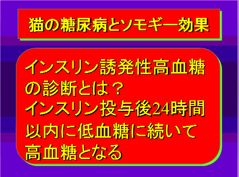 猫の糖尿病とソモギー効果
