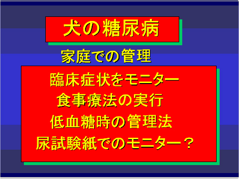 犬の糖尿病12