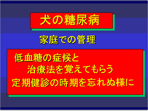 犬の糖尿病13