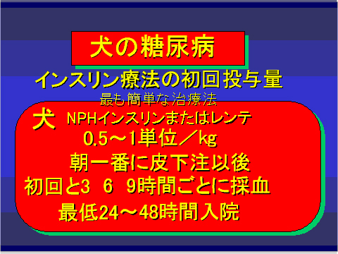 犬の糖尿病16