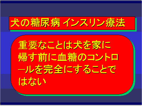 犬の糖尿病 インスリン療法01