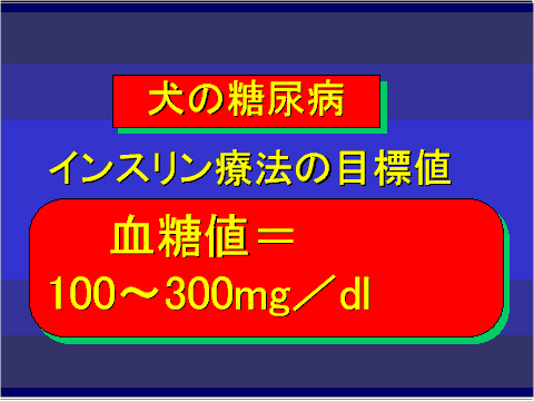 犬の糖尿病18