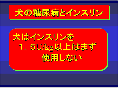 犬の糖尿病とインスリン