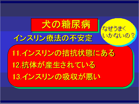 犬の糖尿病23