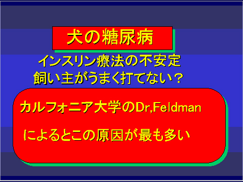 犬の糖尿病24