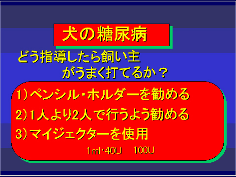 犬の糖尿病25