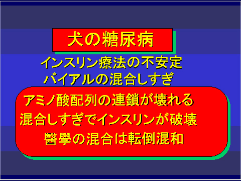 犬の糖尿病27