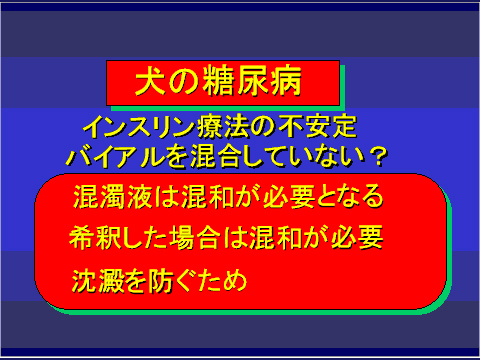犬の糖尿病28