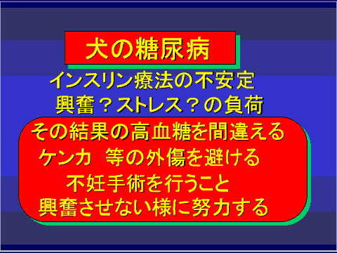 犬の糖尿病30