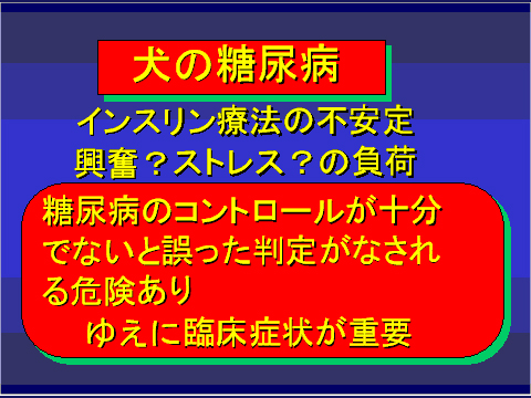 犬の糖尿病31