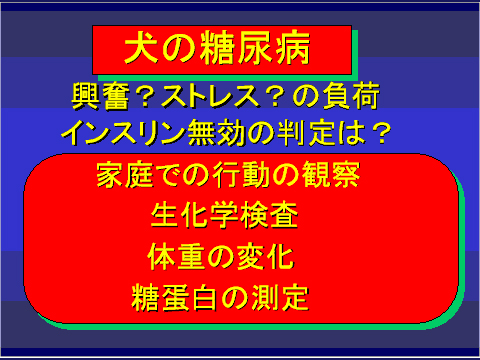 犬の糖尿病32