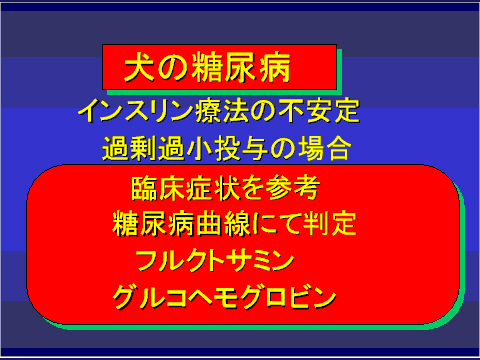 犬の糖尿病33