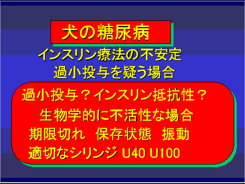 犬の糖尿病34