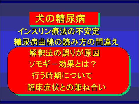 犬の糖尿病35