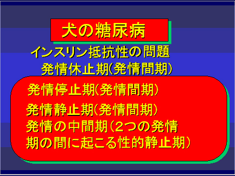 犬の糖尿病41