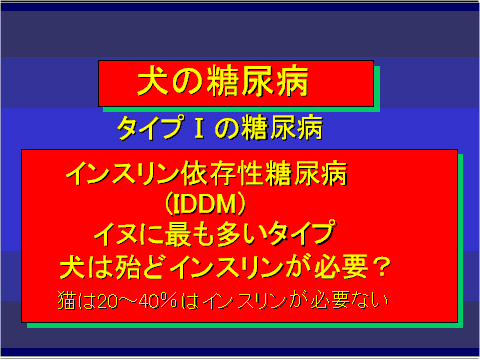 犬の糖尿病04