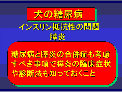 犬の糖尿病42