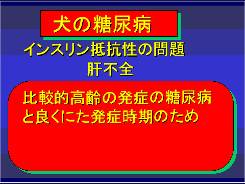 犬の糖尿病45