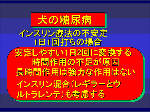 犬の糖尿病48