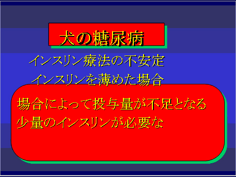 犬の糖尿病49