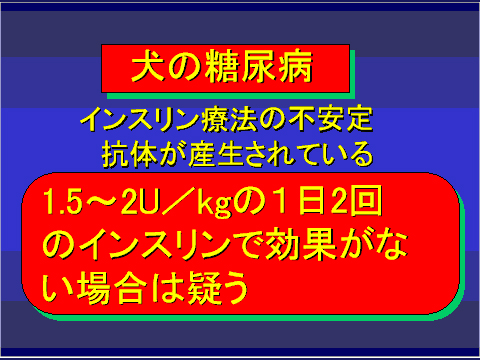 犬の糖尿病50