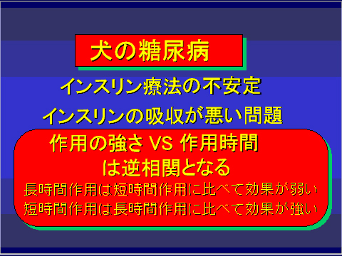 犬の糖尿病52